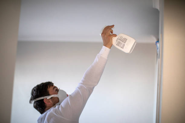 Best Black Mold Remediation in St James, MN