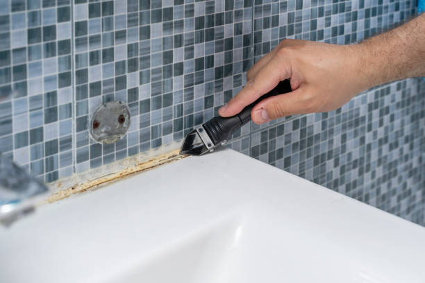 Best Kitchen Mold Remediation in St James, MN